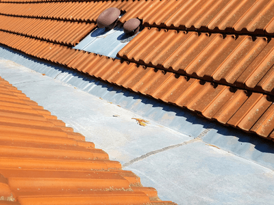 About Thalara Shield - roofing contractor experts in Los Angeles